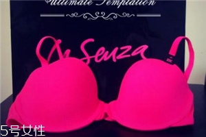 la senza是什么牌子？來自加拿大的頂尖內(nèi)衣