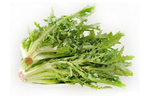 苦菊小孩能吃嗎？小孩吃苦菊促進(jìn)腦部發(fā)育