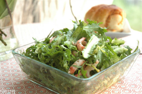 苦菊可以生吃嗎？營養(yǎng)健康苦菊菜做法