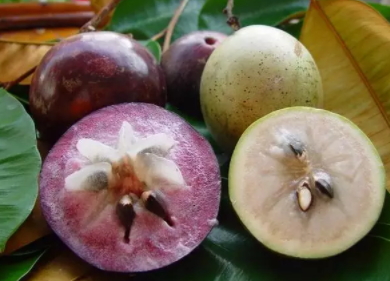 牛奶果多少錢(qián)一斤？青色和紫色是一樣的嗎