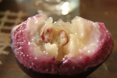 牛奶果多少錢(qián)一斤？青色和紫色是一樣的嗎