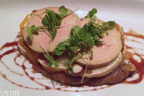 鵝肝可以冷凍嗎 低溫保存效果更加 鵝肝可以冷凍嗎 低溫保存效果更加