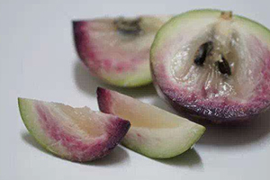 牛奶果多少錢(qián)一斤？青色和紫色是一樣的嗎