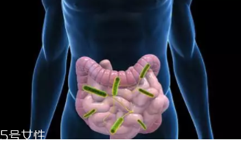 放屁對身體有哪些好處？放屁能反映腸胃健康與否