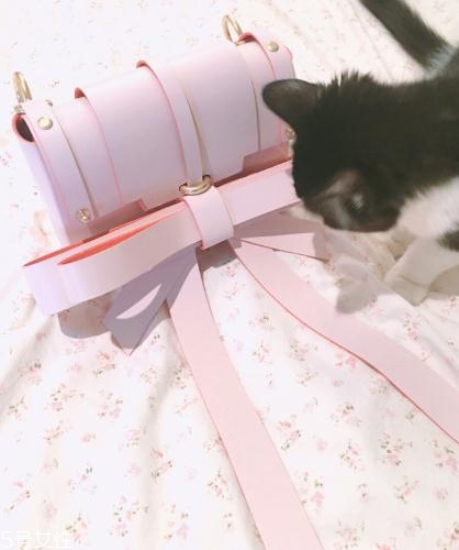 niels peeraer是什么牌子？圓了你的少女夢