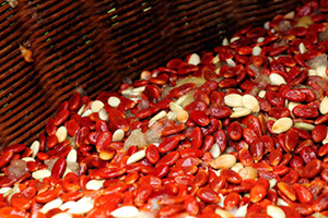 紅瓜子孕婦可以吃嗎？來看看紅瓜子的禁忌人群