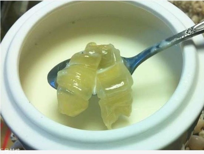 花膠燉牛奶的功效與作用？保養(yǎng)皮膚效果好