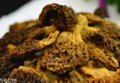 牛肚菌和牛肝菌的區(qū)別 主要體現(xiàn)在這幾點(diǎn) 牛肚菌和牛肝菌的區(qū)別 主要體現(xiàn)在這幾點(diǎn)