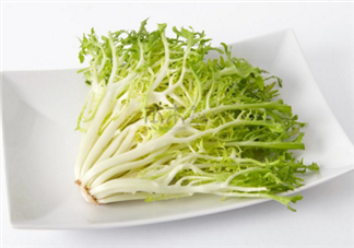 苦菊有哪些功效和作用？苦菊是屬于菊花的一種