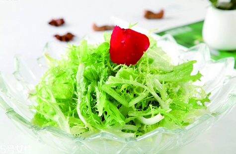 苦菊可以生吃嗎？營養(yǎng)健康苦菊菜做法