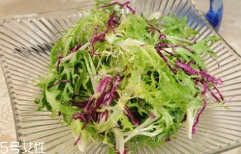 苦菊能減肥嗎？苦菊的各式做法