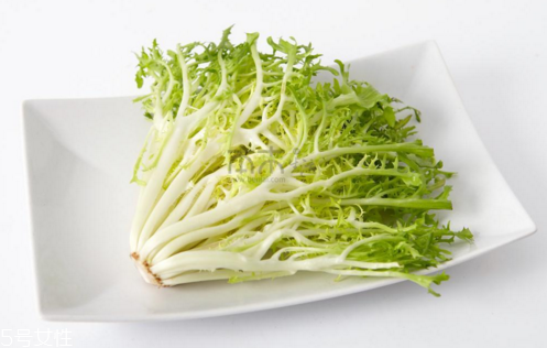 苦菊能減肥嗎？苦菊的各式做法