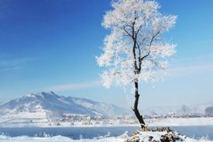 大寒穿什么衣服？教你保暖的搭配