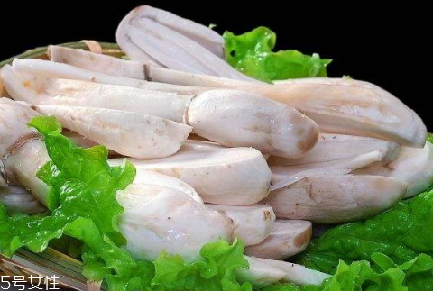 雞腿菇可以放幾天 烘干保存時(shí)間更長(zhǎng) 雞腿菇可以放幾天 烘干保存時(shí)間更長(zhǎng)