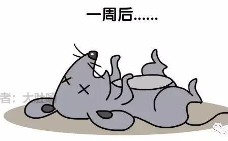 自然堂隔離霜孕婦可以用嗎？含有孕婦禁用成分