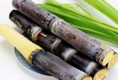 甘蔗的吃法有什么不同？吃法不同療效不同