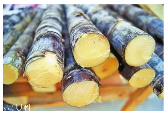 甘蔗的吃法有什么不同？吃法不同療效不同