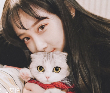 補(bǔ)佳樂一天最多吃幾粒？補(bǔ)佳樂過量有害