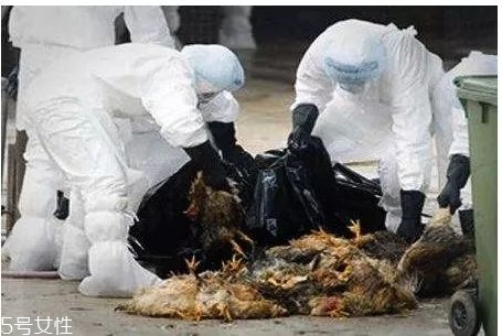 乙型流感病毒大概多少天能好？一周左右可恢復(fù)