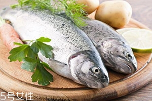 冬天吃魚有何禁忌？四大禁忌需注意