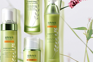 植物智慧適合什么年齡？各個年齡都可以駕馭