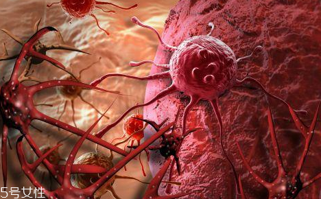 取病理真的是扯塊肉嗎？不疼也無傷害