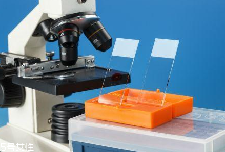 取病理真的是扯塊肉嗎？不疼也無傷害