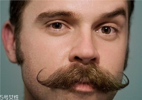 如何從男人的胡子看出疾?。亢宇伾顷P(guān)鍵