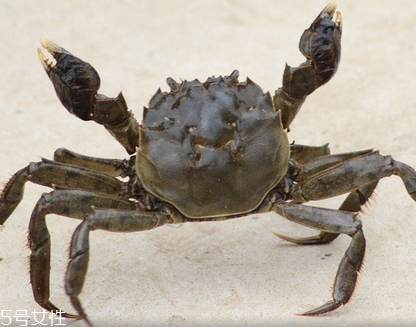 蜘蛛痣吃什么好？揭秘人體天生8大缺陷