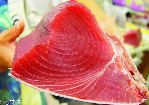 金槍魚為什么要冷凍 冷凍金槍魚你知道多少 金槍魚為什么要冷凍 冷凍金槍魚你知道多少