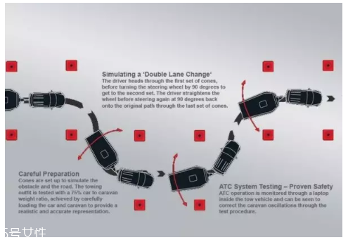 開車前為什么要拍拍車蓋？預(yù)防傷害流浪小動(dòng)物