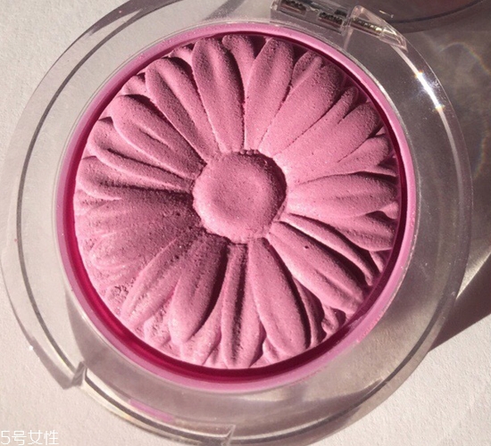 倩碧菊花腮紅色號(hào)有哪些？新手也能輕松掌握