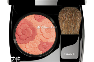 香奈兒山茶花雙色腮紅好用嗎？秋季限定新款