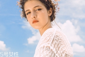 鹿胎膏好還是鹿胎粉好？鹿胎膏更正宗