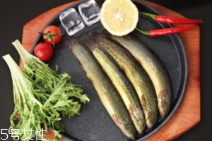 泥鰍怎么吃 香煎泥鰍更美味 泥鰍怎么吃 香煎泥鰍更美味