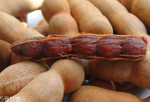 酸角是哪里的特產(chǎn) 中國是酸角著名產(chǎn)地 酸角是哪里的特產(chǎn) 中國是酸角著名產(chǎn)地