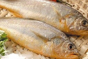 小黃魚(yú)怎么解凍 解凍小黃魚(yú)技巧