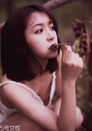 鹿胎膏能天天吃嗎？天天吃也不好