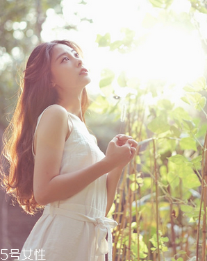 鹿胎膏可以促進(jìn)排卵嗎？關(guān)于排卵的那些事