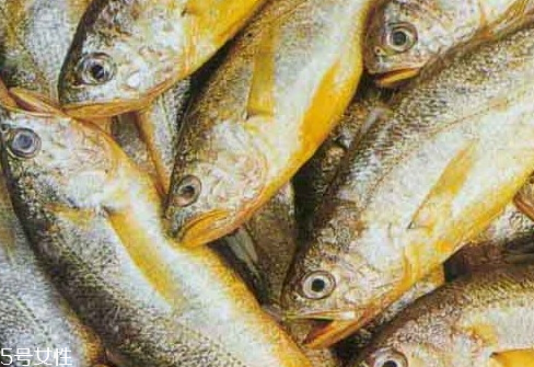 大黃魚(yú)為什么那么貴 物依稀為貴 大黃魚(yú)為什么那么貴 物依稀為貴