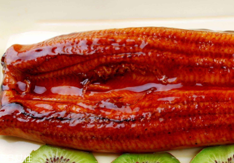 吃鰻魚會(huì)胖嗎 適量吃才行 吃鰻魚會(huì)胖嗎 適量吃才行