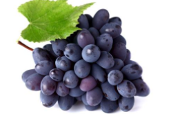 葡萄籽補(bǔ)劑要不要買？不如早睡早起