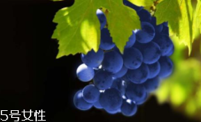 葡萄籽補(bǔ)劑要不要買？不如早睡早起