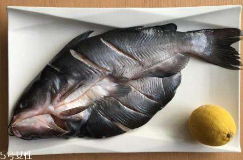 清江魚是什么魚 清江庫區(qū)長大的魚 清江魚是什么魚 清江庫區(qū)長大的魚