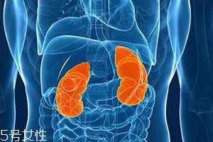 喝完水就尿腎不好嗎？正常人在白天排尿6次左右