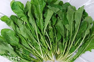 薺菜包餃子需要焯水嗎？小心有苦澀的味道