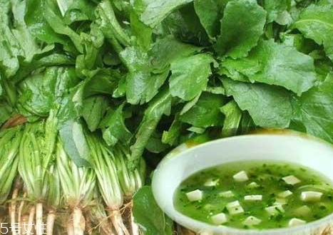 薺菜包餃子需要焯水嗎？小心有苦澀的味道