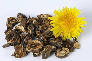 蒲公英泡茶可以放糖嗎？不要只看重味道