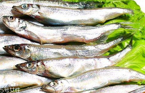 多春魚(yú)是河魚(yú)還是海魚(yú) 深海魚(yú)的一種