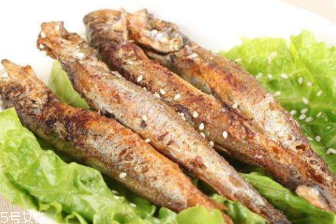 多春魚(yú)是河魚(yú)還是海魚(yú) 深海魚(yú)的一種